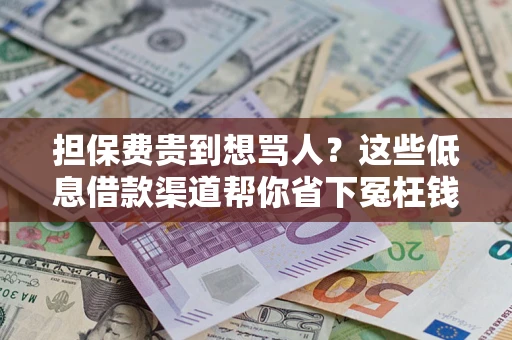 济南担保费贵到想骂人？这些低息借款渠道帮你省下冤枉钱