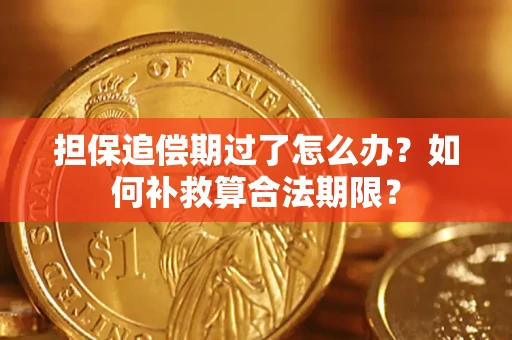 济南担保追偿期过了怎么办？如何补救算合法期限？