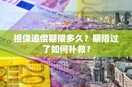 济南担保追偿期限多久？期限过了如何补救？