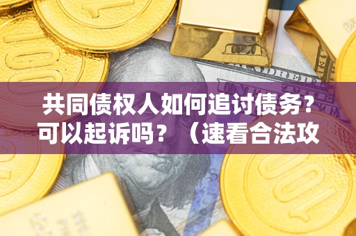 济南共同债权人如何追讨债务？可以起诉吗？（速看合法攻略）