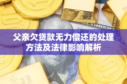 济南父亲欠贷款无力偿还的处理方法及法律影响解析